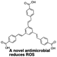 Graphical abstract: A novel antimicrobial agent reduces oxidative stress in cells