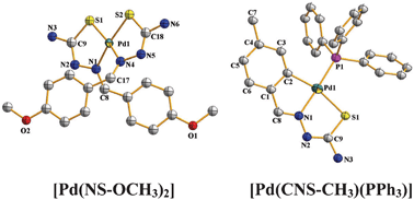 Graphical abstract: Controlled interaction of benzaldehyde thiosemicarbazones with palladium: formation of bis-complexes with cis-geometry and organopalladium complexes, and their catalytic application in C–C and C–N coupling