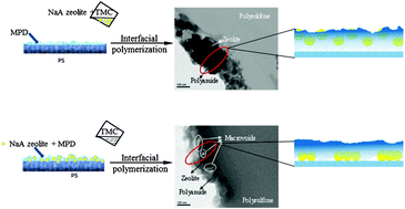 Graphical abstract: Role of NaA zeolites in the interfacial polymerization process towards a polyamide nanocomposite reverse osmosis membrane