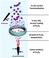 Graphical abstract: Highly compressible magnetic liquid marbles assembled from hydrophobic magnetic chain-like nanoparticles