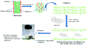 Graphical abstract: Depolymerization of cellulosic feedstocks using magnetically separable functionalized graphene oxide
