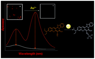 Graphical abstract: A selective fluorescent probe for detection of gold(iii) ions and its application to bioimaging