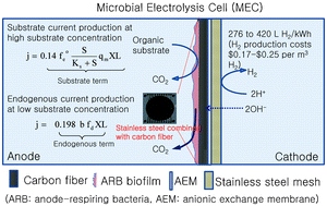 Graphical abstract: Implication of endogenous decay current and quantification of soluble microbial products (SMP) in microbial electrolysis cells