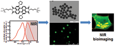 Graphical abstract: High performance NIR fluorescent silica nanoparticles for bioimaging