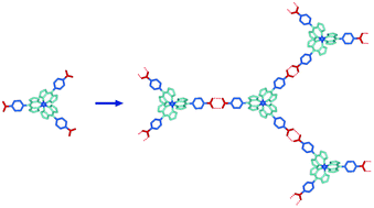 Graphical abstract: Stereoselective aggregation of chiral complexes with threefold-symmetric pendant carboxyl groups: an example of “perfect” self-assembly not seen in the crystalline state?