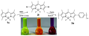 Graphical abstract: Regioselective 2,6-dihalogenation of BODIPYs in 1,1,1,3,3,3-hexafluoro-2-propanol and preparation of novel meso-alkyl polymeric BODIPY dyes