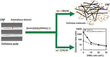 Graphical abstract: Dissolution of cellulose in the mixed solvent of [bmim]Cl–DMAc and its application