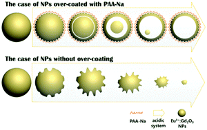 Graphical abstract: Synthesis of Eu3+-doped Gd2O3 in hollow nanoparticle structures by controlled chemical etching with poly(acrylic acid)