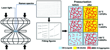 Graphical abstract: Effect of temperature on self-assembly/disassembly transition of dialkylurea supramolecular gels at high pressure