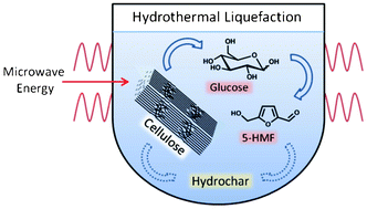Graphical abstract: Hydrothermal liquefaction of cellulose in subcritical water—the role of crystallinity on the cellulose reactivity