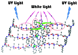 Graphical abstract: White photoluminescent material based on a functional polysiloxane complex with lanthanide ions (Eu3+ and Dy3+)