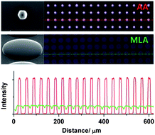 Graphical abstract: A self-aligned aperture-microlens array