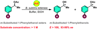 Graphical abstract: Separation of enantiopure m-substituted 1-phenylethanols in high space-time yield using Bacillus subtilis esterase