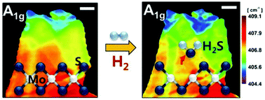 Graphical abstract: Effect of sulphur vacancy on geometric and electronic structure of MoS2 induced by molecular hydrogen treatment at room temperature