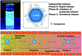Graphical abstract: Cysteamine hydrochloride protected carbon dots as a vehicle for the efficient release of the anti-schizophrenic drug haloperidol