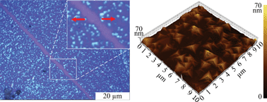 Graphical abstract: Van der Waals epitaxial growth of MoS2 on SiO2/Si by chemical vapor deposition