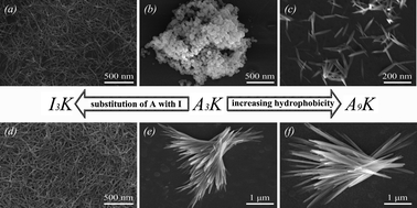 Graphical abstract: Morphology-controlled synthesis of silica materials templated by self-assembled short amphiphilic peptides