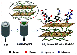 Graphical abstract: Conducting polyaniline-graphene oxide fibrous nanocomposites: preparation, characterization and simultaneous electrochemical detection of ascorbic acid, dopamine and uric acid