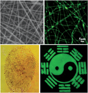 Graphical abstract: Electrospun fluorescein-embedded nanofibers towards fingerprint recognition and luminescent patterns