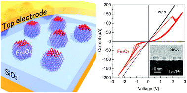 Graphical abstract: Memristive nanoparticles formed using a biotemplate