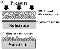 Graphical abstract: Transparent and superhydrophobic films prepared with polydimethylsiloxane-coated silica nanoparticles