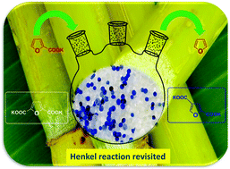 Graphical abstract: Concurrent formation of furan-2,5- and furan-2,4-dicarboxylic acid: unexpected aspects of the Henkel reaction