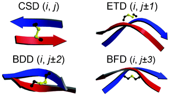 Graphical abstract: Between-strand disulfides: forbidden disulfides linking adjacent β-strands