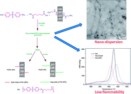 Graphical abstract: Synthesis, characterization and properties of novel aliphatic–aromatic polyamide/functional carbon nanotube nanocomposites via in situ polymerization