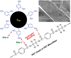Graphical abstract: Resorcinol-functionalized carbon nanoparticles with a stick-out nanostructure for stable hydrogen bonding with polyester microfibers