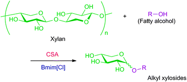 Graphical abstract: The direct and one-pot transformation of xylan into the biodegradable surfactants, alkyl xylosides, is aided by an ionic liquid