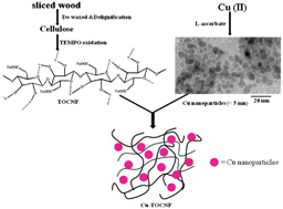 Graphical abstract: Renewable catalyst with Cu nanoparticles embedded into cellulose nano-fiber film