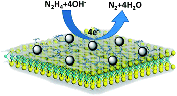 Graphical abstract: Enhanced-electrocatalytic activity of Ni1−xFex alloy supported on polyethyleneimine functionalized MoS2 nanosheets for hydrazine oxidation
