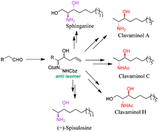 Graphical abstract: Retracted Article: A highly concise and practical route to clavaminols, sphinganine and (+)-spisulosine via indium mediated allylation of α-hydrazino aldehyde and a theoretical insight into the stereochemical aspects of the reaction