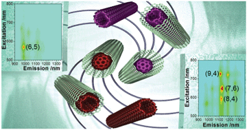 Graphical abstract: Chirally selective growth and extraction of single-wall carbon nanotubes via fullerene nano-peapods