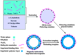 Graphical abstract: Magnetic molecularly imprinted microcapsules derived from Pickering emulsion polymerization and their novel adsorption characteristics for λ-cyhalothrin