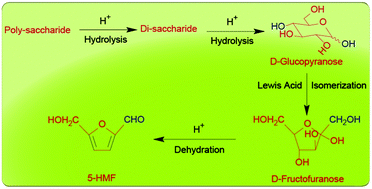 Graphical abstract: Influence of properties of SAPO's on the one-pot conversion of mono-, di- and poly-saccharides into 5-hydroxymethylfurfural