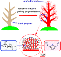 Graphical abstract: A renewable HSO3/H2PO3-grafted polyethylene fiber catalyst: an efficient heterogeneous catalyst for the synthesis of 5-hydroxymethylfurfural from fructose in water