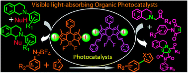 Graphical abstract: Iodo-Bodipys as visible-light-absorbing dual-functional photoredox catalysts for preparation of highly functionalized organic compounds by formation of C–C bonds via reductive and oxidative quenching catalytic mechanisms