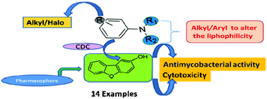 Graphical abstract: Iron-catalyzed aryl-aryl cross coupling route for the synthesis of 1-(2-amino)-phenyl)dibenzo[b,d]furan-2-ol derivatives and their biological evaluation