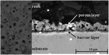 Graphical abstract: Application of plasma electrolytic oxidation to bioactive surface formation on titanium and its alloys