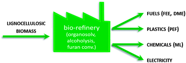 Graphical abstract: Fuels and plastics from lignocellulosic biomass via the furan pathway; a technical analysis