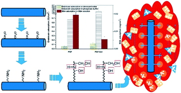 Graphical abstract: A novel polysulfone-based affinity membrane with high hemocompatibility: preparation and endotoxin elimination performance