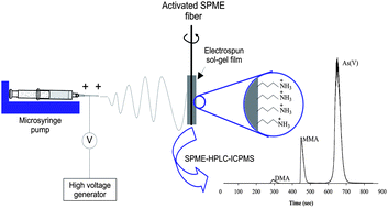 Graphical abstract: Electrospun amino-functionalized PDMS as a novel SPME sorbent for the speciation of inorganic and organometallic arsenic species