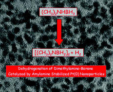 Graphical abstract: Amylamine stabilized platinum(0) nanoparticles: active and reusable nanocatalyst in the room temperature dehydrogenation of dimethylamine-borane