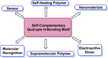 Graphical abstract: Self-complementary quadruple hydrogen bonding motifs: from design to function