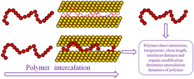 Graphical abstract: Microstructure and intercalation dynamics of polymer chains in layered sheets