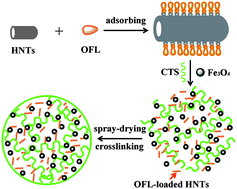 Graphical abstract: Spray-dried magnetic chitosan/Fe3O4/halloysite nanotubes/ofloxacin microspheres for sustained release of ofloxacin