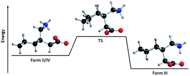 Graphical abstract: Conformation versus cohesion in the relative stabilities of gabapentin polymorphs