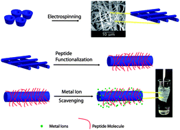 Graphical abstract: Noncovalent functionalization of a nanofibrous network with a bio-inspired heavy metal binding peptide