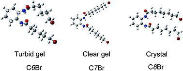 Graphical abstract: Terminal effects on gelation by low molecular weight chiral gelators